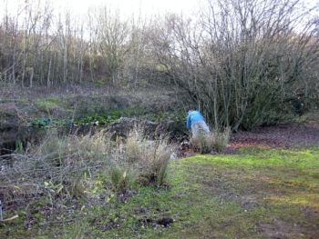 Management 27/11/2011 Mike Smithson Management