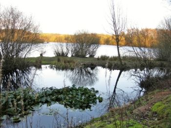 Management 27/11/2011 Mike Smithson Management