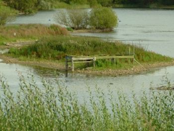 The Table from the Hide 15/08/2011 Mike Smithson The Table from the Hide