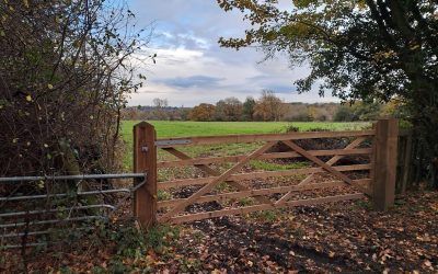 Guided Walk around Knaresborough Forest Park