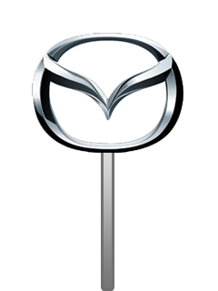 icon chain