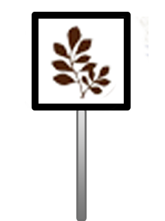 icon chain