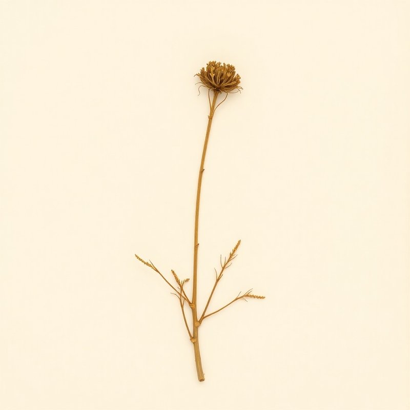 Bristly Fiddleneck
