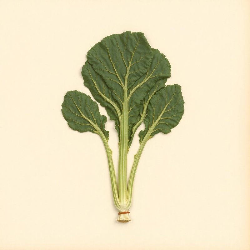 Brassica oleracea medullosa (Marrow-Stem Kale) — botanical photograph