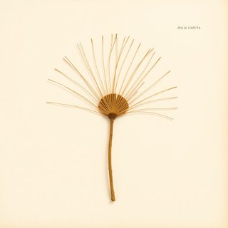 Butia capitata (Jelly Palm) — botanical photograph