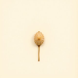 Calamus ovoideus (Egg-shaped Rattan Rotan Ovoid) — botanical photograph