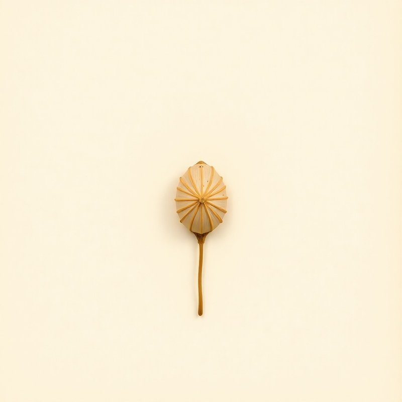Egg-shaped Rattan Rotan Ovoid