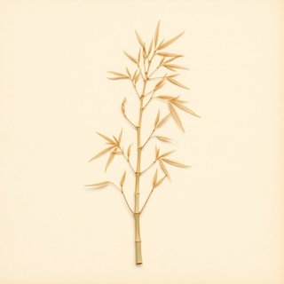 Dendrocalamus membranaceus (White bamboo) — botanical photograph