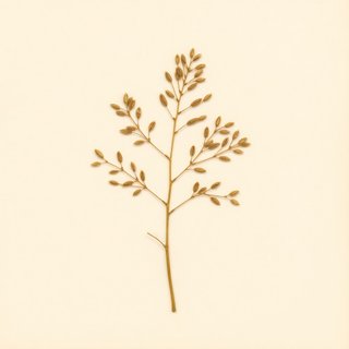 Elaeis oleifera (Elaeis oleifera) — botanical photograph