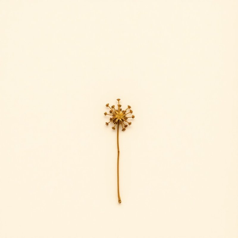 Niger Seed