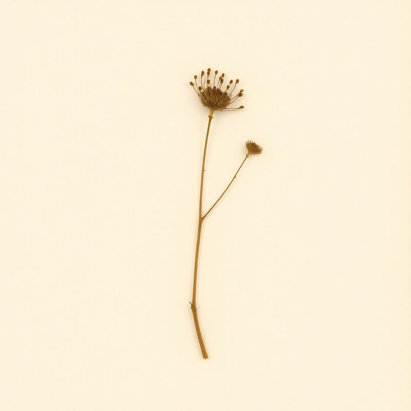 Woolly Parosella