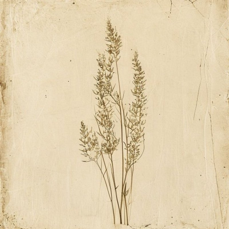 Sea Grass