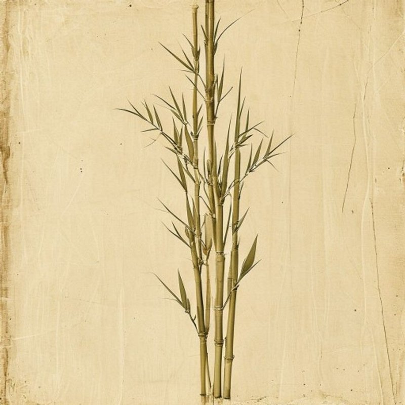 Zig-Zag Bamboo