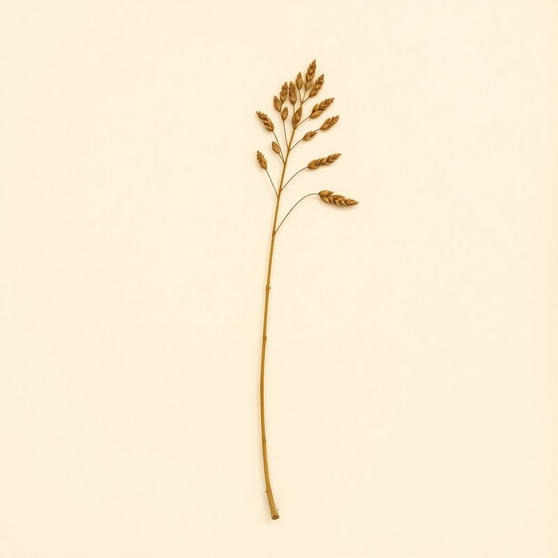 Phyllostachys purpurata