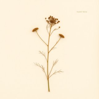 Suaeda salsa (Suaeda salsa) — botanical photograph