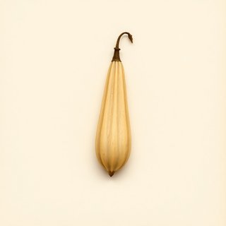 Trichosanthes ovigera (Japanese Snake Gourd) — botanical photograph