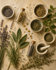 Guides & Research