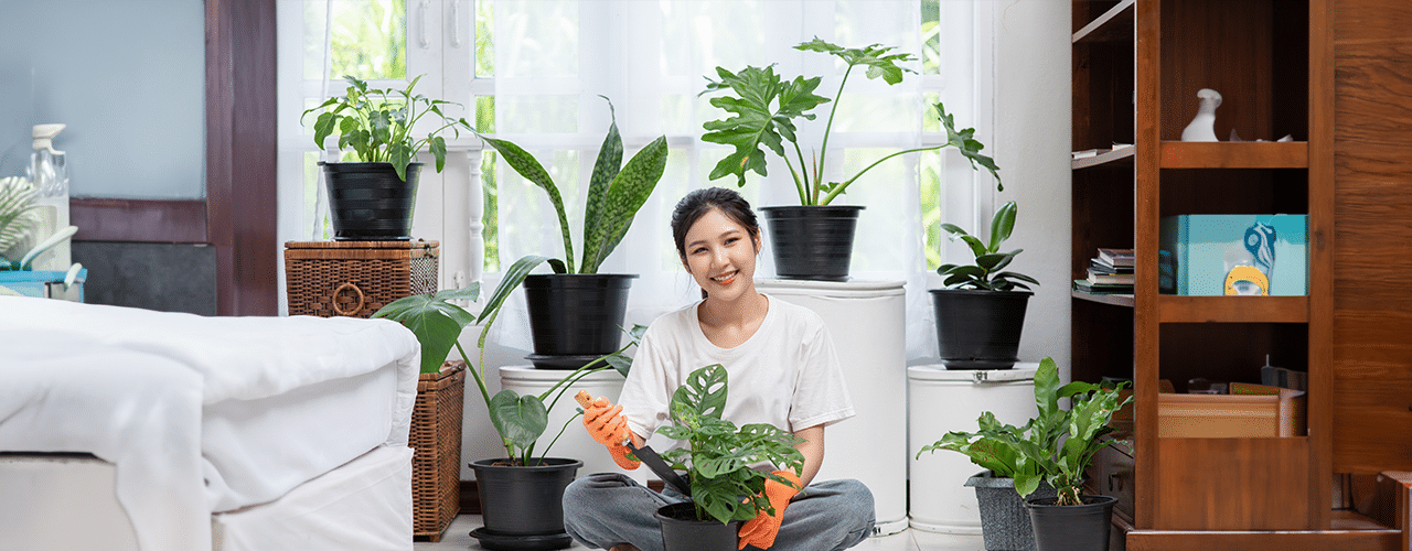 10 Lucky Plants To Welcome Wealth & Prosperity in 2023