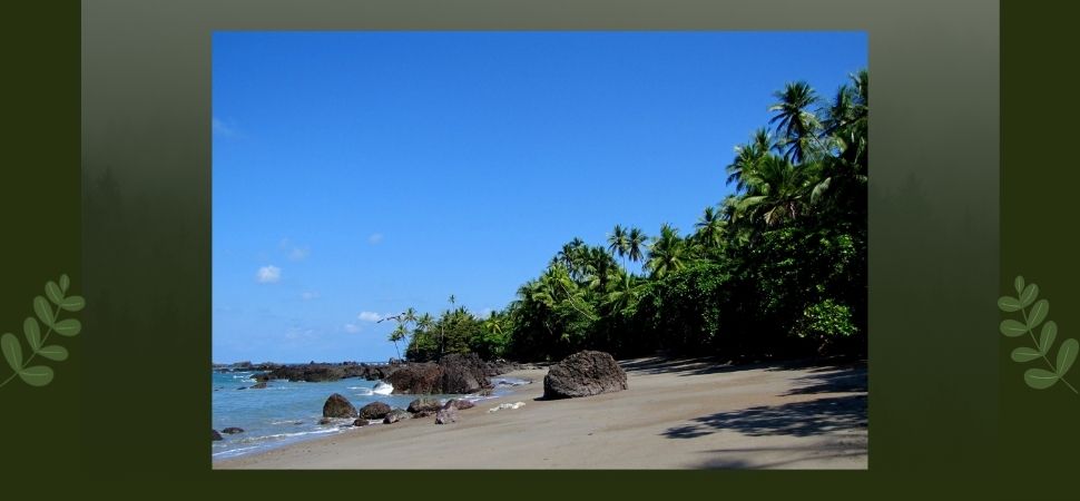 Corcovado_National_Park