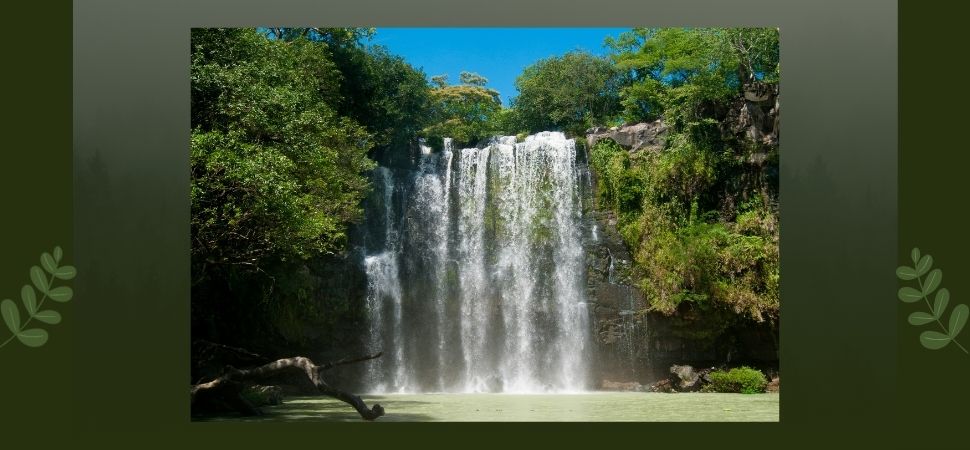 Guanacaste_National_Park