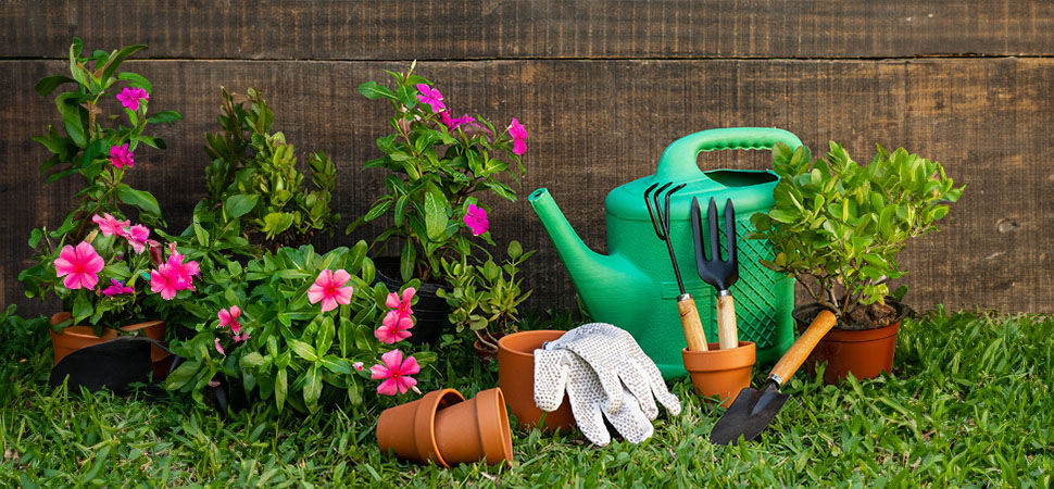 Garden Accessories