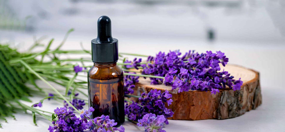 Lavender Essential Oil