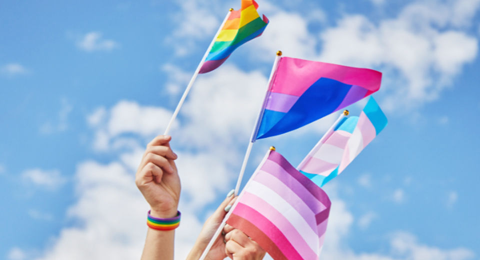 A Complete Guide To LGBTQ Pride Flags: What Do They Mean?