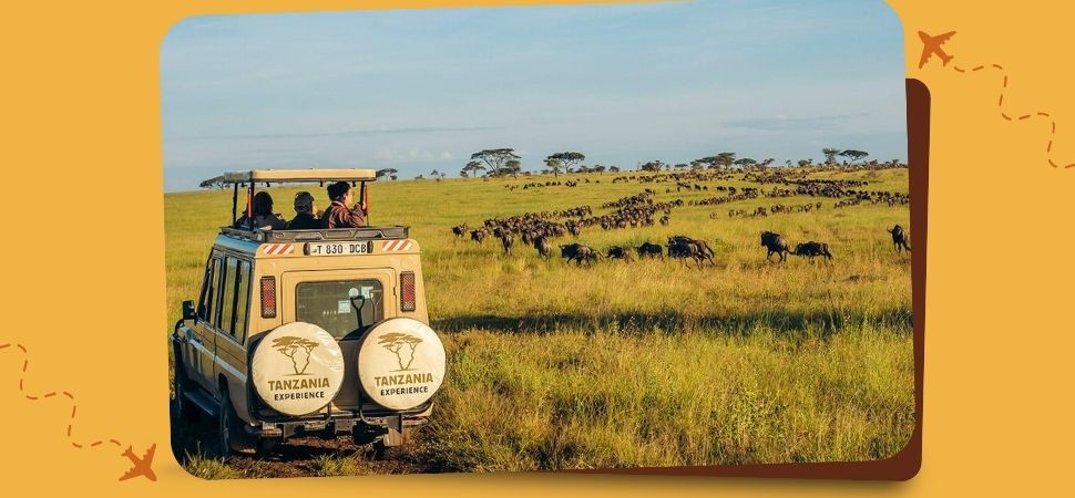 Serengeti National Park, Tanzania