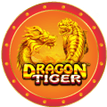 dragon-tiger