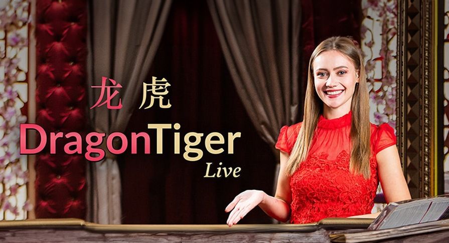 How to Play Live Dragon Tiger for Real Money
