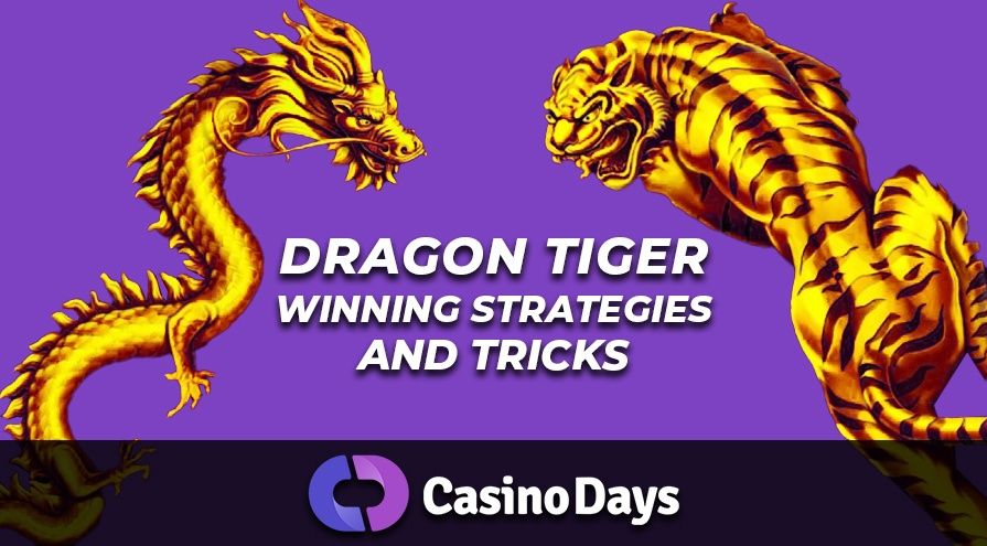 Dragon Tiger Winning Strategies & Tricks on Casino Days