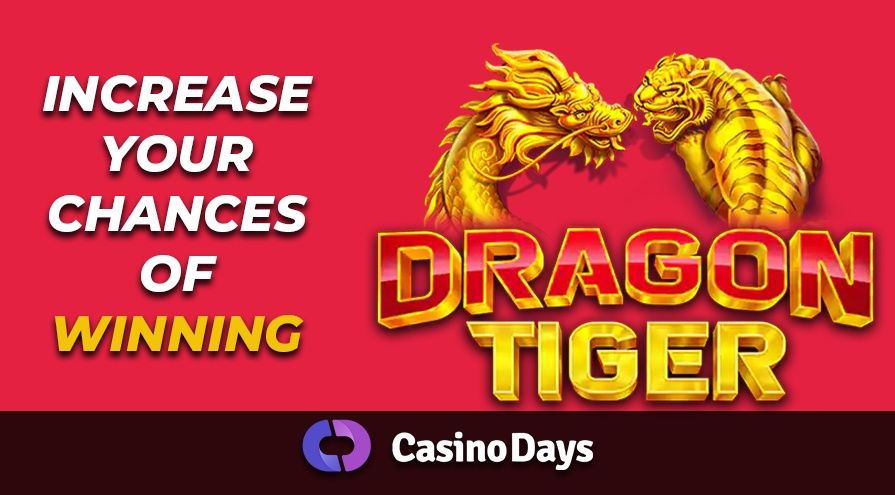 Increase Your Chances of Winning Dragon Tiger on Casino Days