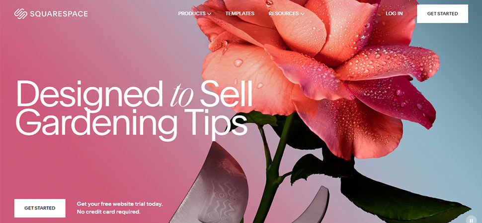 squarespace-image