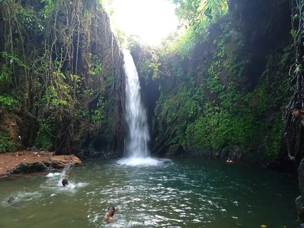 Gallery image of Apsarakonda (Falls, Park & Beach)