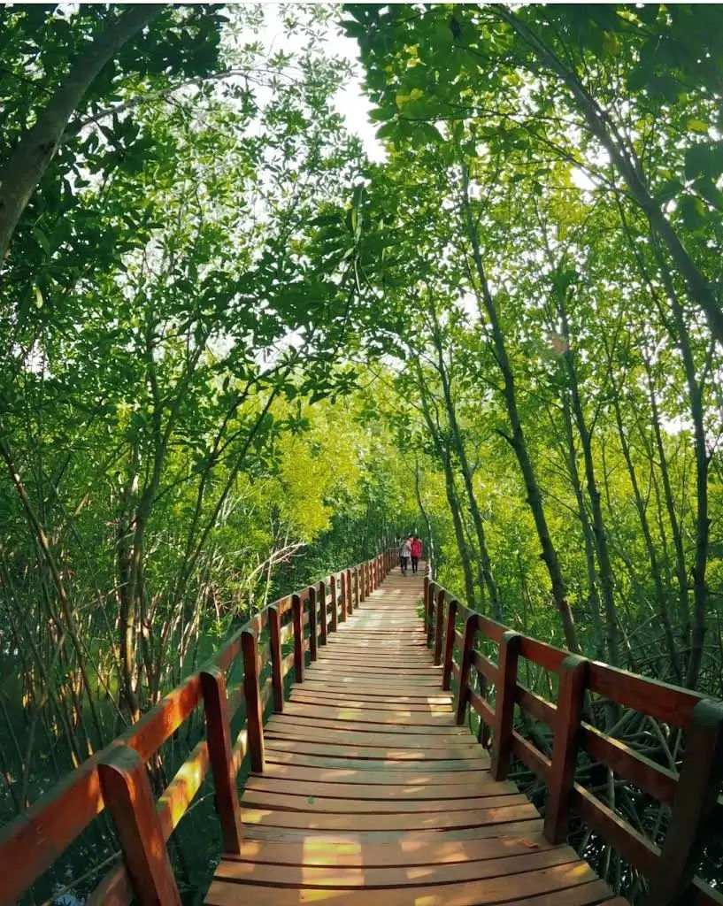 Gallery image of Mangrove Boardwalk (Kandla Vana)