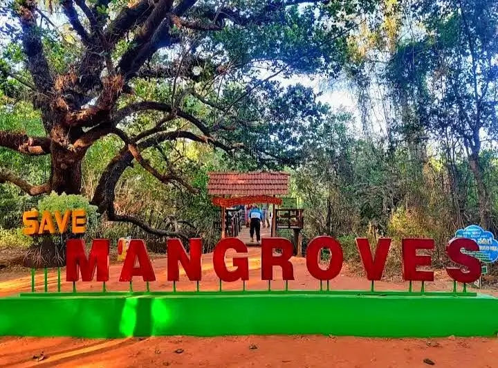 Gallery image of Mangrove Boardwalk (Kandla Vana)