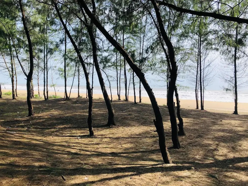 Gallery image of Nirvana Beach
