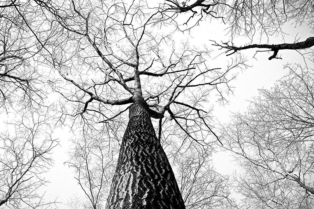 daura AG: Kontrolliert und nachhaltig wachsen