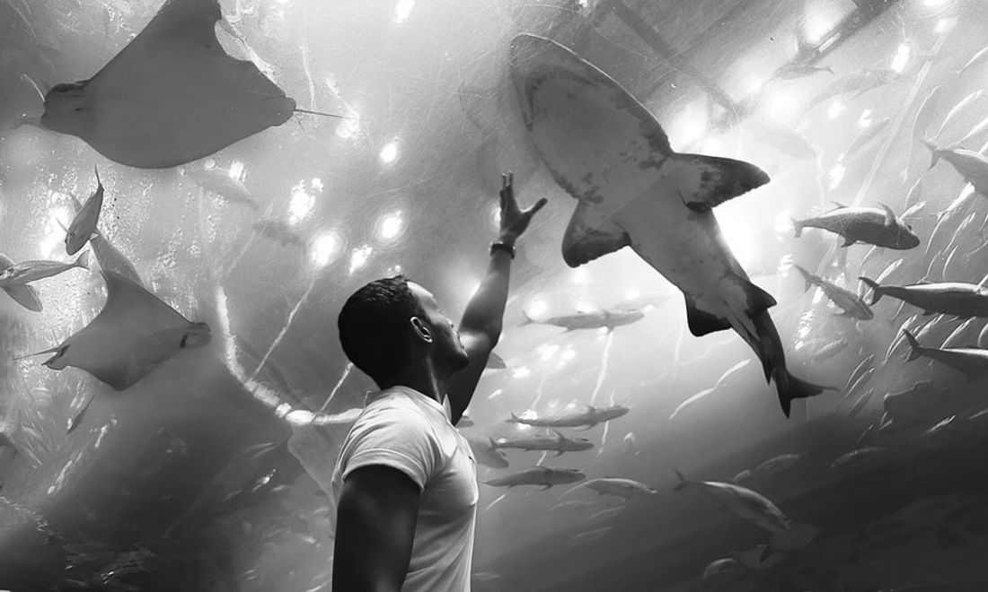 Account Based Marketing