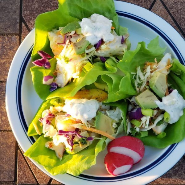Wild Whitefish Tacos