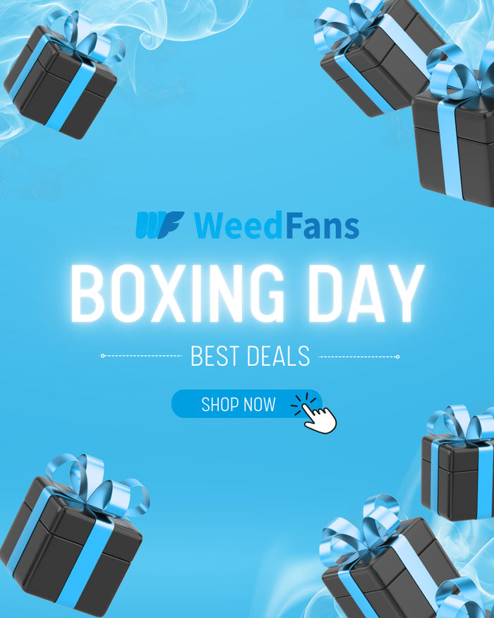 BOXING DAY DEALS