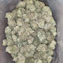 AAA+ Rockbud