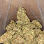AAA+ Lemon Haze