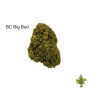 1 OUNCE $40 - BC BIG BUD - A