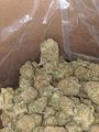 AAA+ Girl Scout Cookies