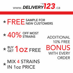 Delivery123 | Same Day Delivery