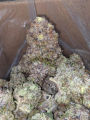 🔥 AAAA+ Obama Kush 🔥