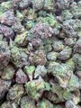 100$ oz Lemon Cherry Gelato 🍧 🍒 🍋 (smalls)
