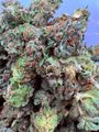 100$ oz 98Bubba ⛽️ 💀 
