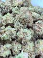 100$ oz Candy Pink ⛽️ 🍭 